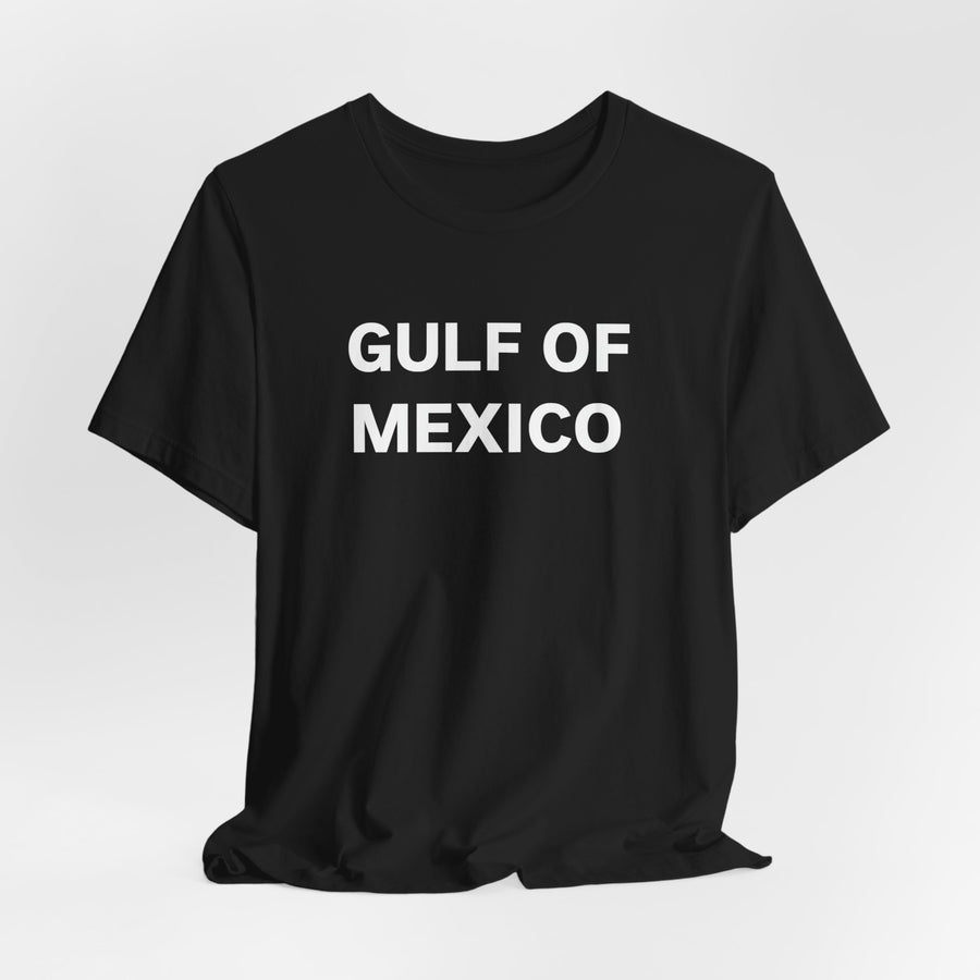 Gulf of Mexico Unisex Jersey Short Sleeve Tee