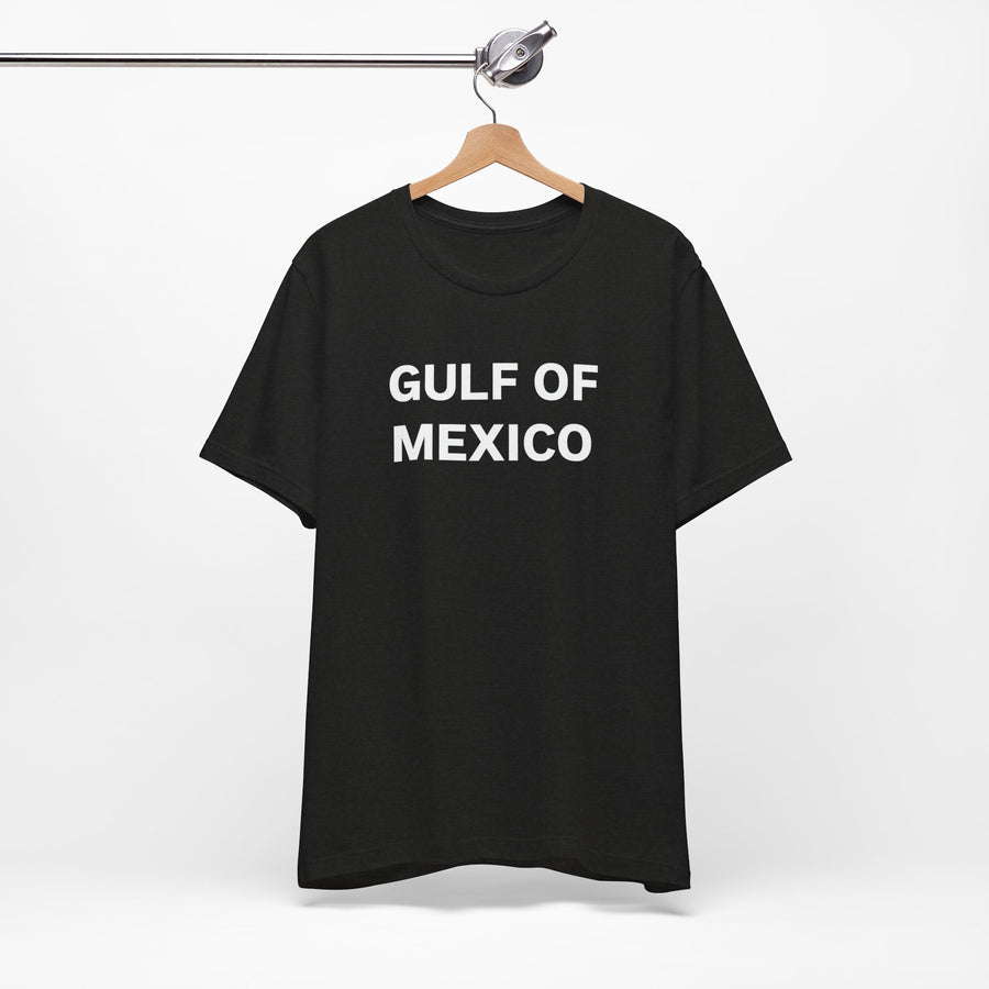 Gulf of Mexico Unisex Jersey Short Sleeve Tee