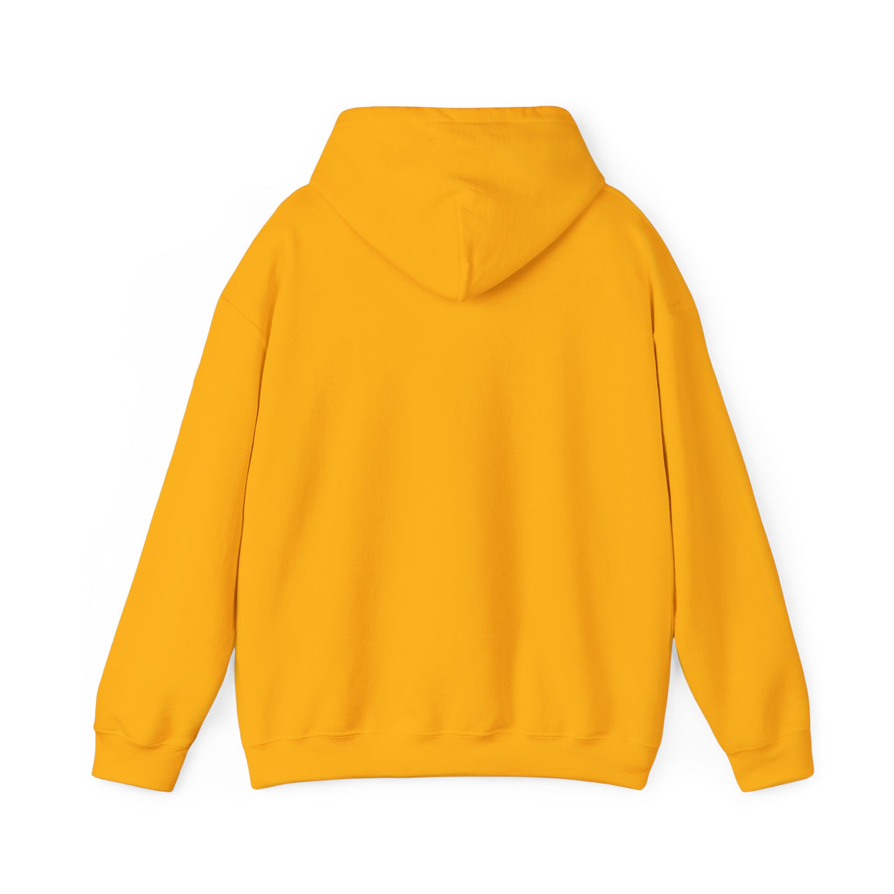 Retro Steagles Football Unisex Heavy Blend™ Hoodie