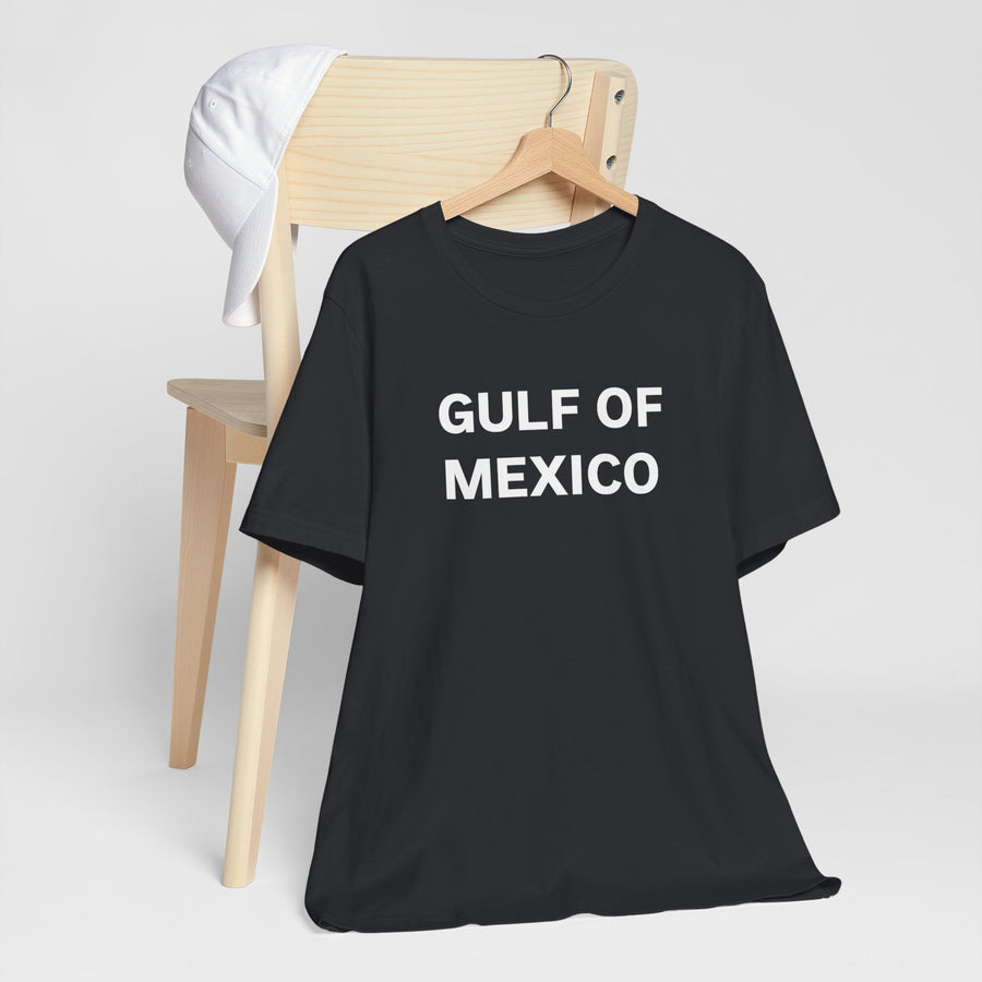 Gulf of Mexico Unisex Jersey Short Sleeve Tee