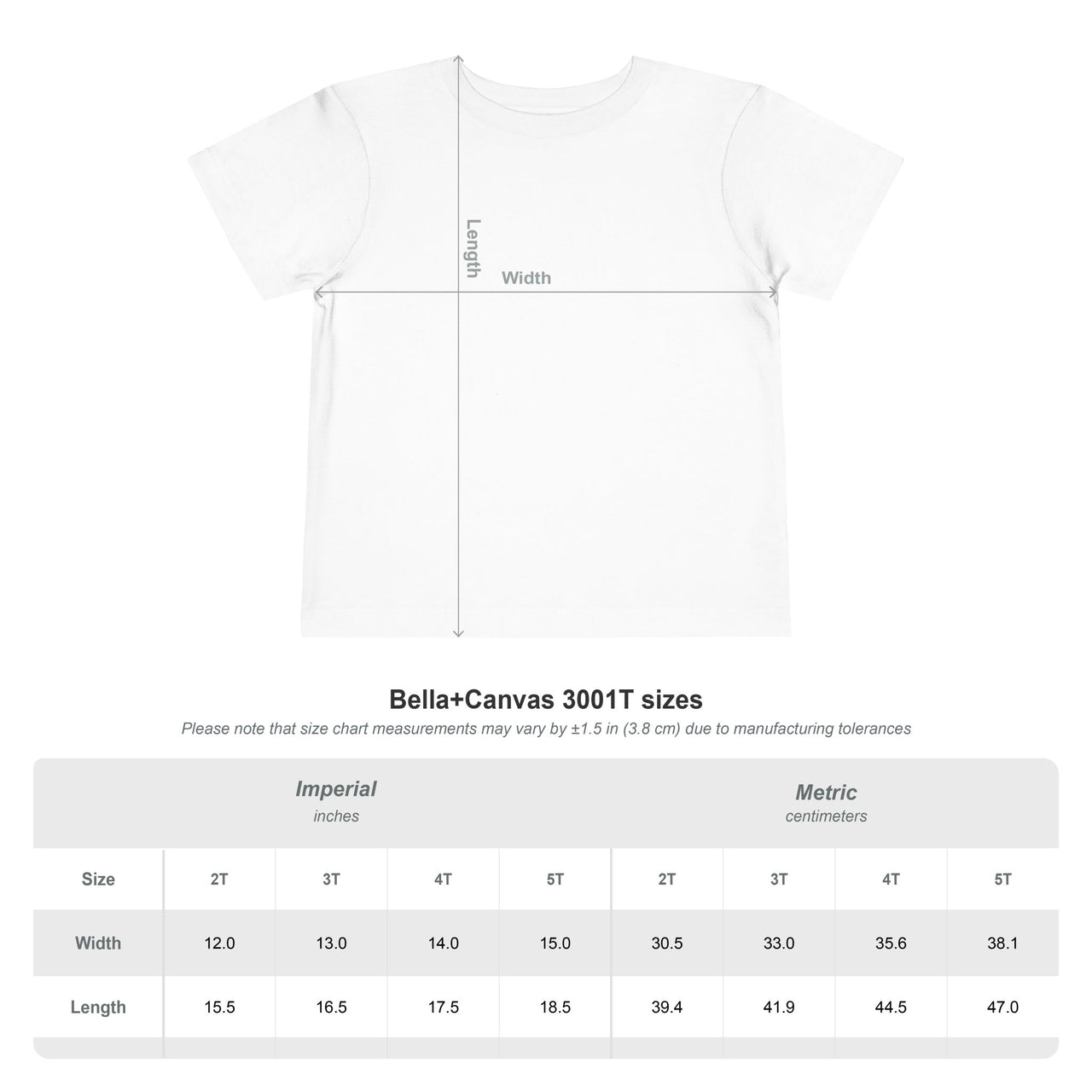 Raised on Birds Toddler Shirt, Philly Football Toddler Tee, Go Birds Kids Shirt, Bella Canvas Toddler Tee, Philadelphia Football Baby Shirt
