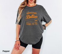Broad Street Bullies Hockey Retro Tee World Champs 74-75 Vintage Logo Philadelphia Hockey T-Shirt Flyers