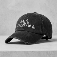 Philadelphia Skyline Hat, Philly Dad Hat, Distressed Philadelphia Cap, DT600 Vintage Hat, Philly Skyline Embroidered Hat, Philadelphia Baseball Cap