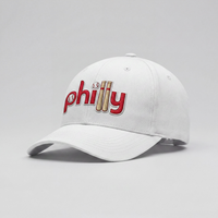 Philly Baseball Hat, Phillies Inspired Dad Cap, Philly Embroidered Hat, Yupoong Dad Hat, Philadelphia Baseball Cap, Vintage Philly Hat
