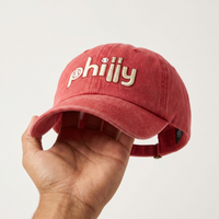 Philly Baseball Hat, Phillies Inspired Dad Cap, Philly Embroidered Hat, Yupoong Dad Hat, Philadelphia Baseball Cap, Vintage Philly Hat