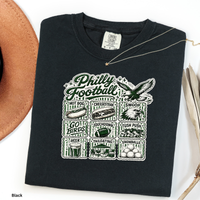 Philly Football Shirt Go Birds Tee Philadelphia Football Icons Shirt Comfort Colors 1717 Cute Trendy Philly Tailgate Shirt