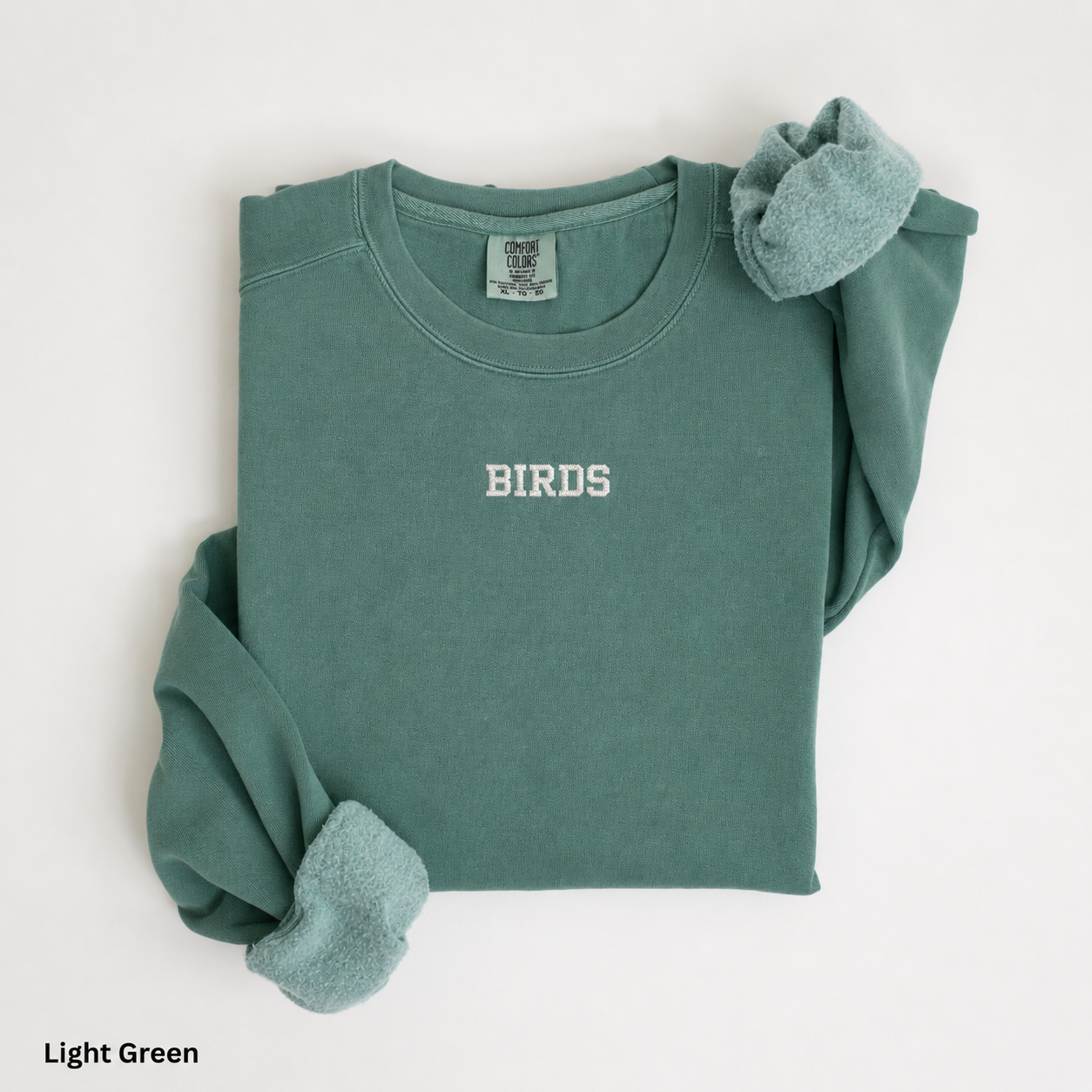 BIRDS Embroidered Sweatshirt | Comfort Colors 1566 Philly Football Crewneck | Minimal Philadelphia Game Day Sweatshirt