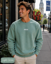 BIRDS Embroidered Sweatshirt | Comfort Colors 1566 Philly Football Crewneck | Minimal Philadelphia Game Day Sweatshirt