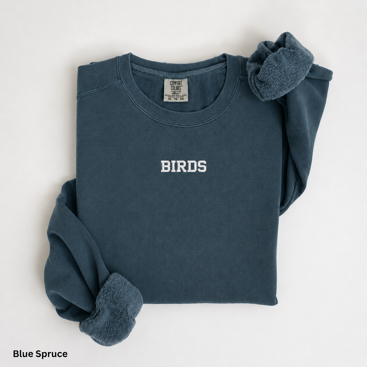 BIRDS Embroidered Sweatshirt | Comfort Colors 1566 Philly Football Crewneck | Minimal Philadelphia Game Day Sweatshirt