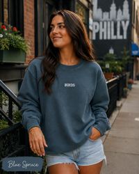 BIRDS Embroidered Sweatshirt | Comfort Colors 1566 Philly Football Crewneck | Minimal Philadelphia Game Day Sweatshirt