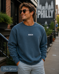 BIRDS Embroidered Sweatshirt | Comfort Colors 1566 Philly Football Crewneck | Minimal Philadelphia Game Day Sweatshirt