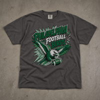 Philadelphia Football Shirt, Philly Birds Pop Art Tee, Comfort Colors 1717, Retro Eagle Football Shirt, Philly Game Day Fan Gift