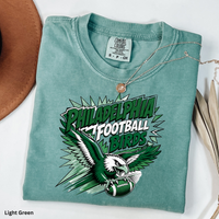 Philadelphia Football Shirt, Philly Birds Pop Art Tee, Comfort Colors 1717, Retro Eagle Football Shirt, Philly Game Day Fan Gift