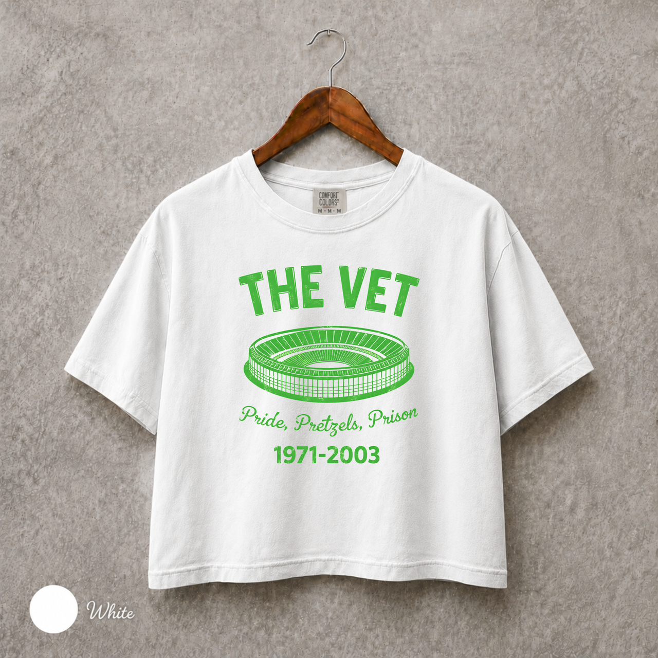The Vet Philadelphia Shirt, Veterans Stadium Tee, Retro Philly Sports Crop Top, Comfort Colors 3023CL, Football Baseball Fan Gift