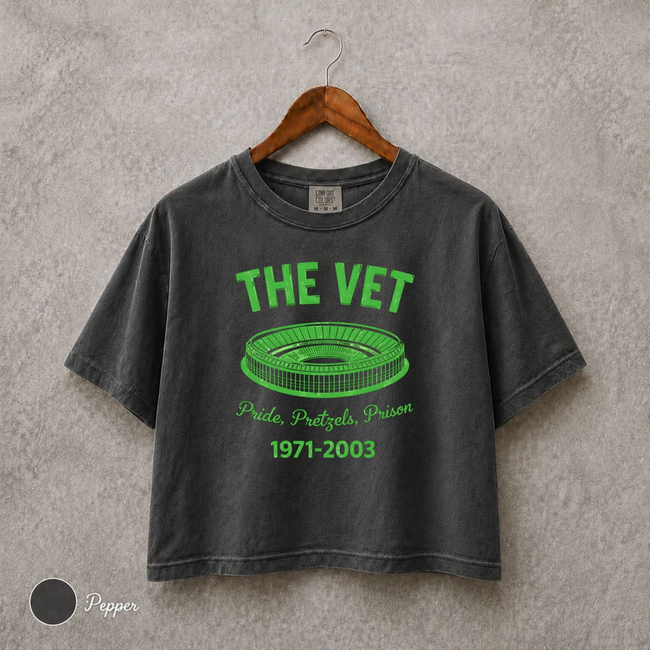 The Vet Philadelphia Shirt, Veterans Stadium Tee, Retro Philly Sports Crop Top, Comfort Colors 3023CL, Football Baseball Fan Gift