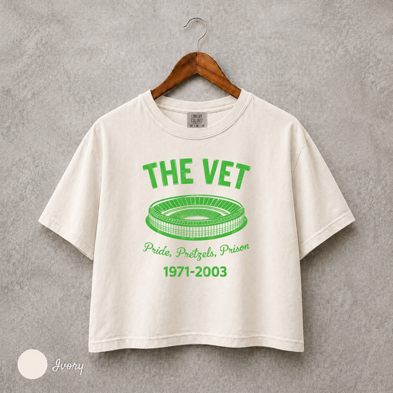 The Vet Philadelphia Shirt, Veterans Stadium Tee, Retro Philly Sports Crop Top, Comfort Colors 3023CL, Football Baseball Fan Gift