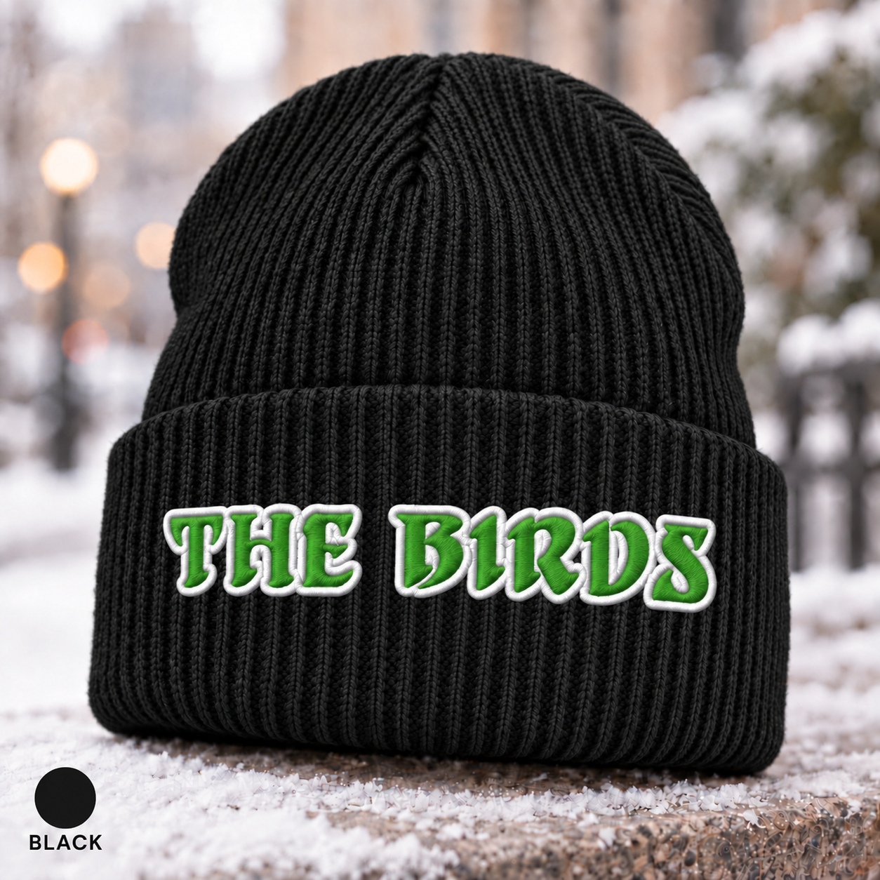 Philadelphia Football Beanie, The Birds Embroidered Hat, Philly Game Day Winter Cap, Green and White Ribbed Knit Beanie