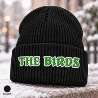 Philadelphia Football Beanie, The Birds Embroidered Hat, Philly Game Day Winter Cap, Green and White Ribbed Knit Beanie