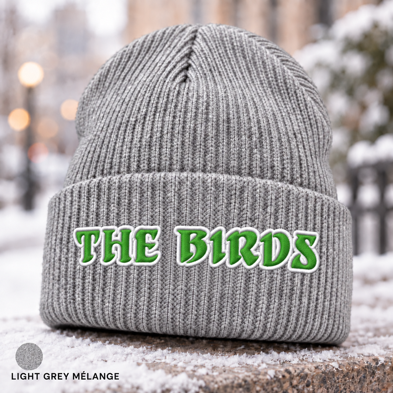 Philadelphia Football Beanie, The Birds Embroidered Hat, Philly Game Day Winter Cap, Green and White Ribbed Knit Beanie