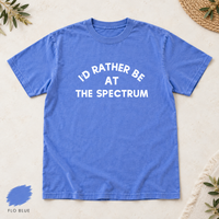 Id Rather Be at the Spectrum Shirt, Comfort Colors 1717 Tee, Philadelphia Nostalgia T-Shirt, Philly Sports  Concert Gift