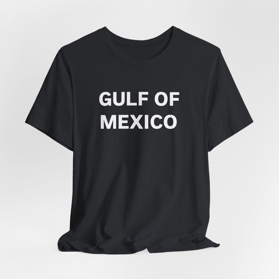 Gulf of Mexico Unisex Jersey Short Sleeve Tee