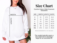 Sundays Are for the Birds Embroidered Sweatshirt | Comfort Colors 1566 Philly Football Crewneck | Philadelphia Game Day Sweatshirt