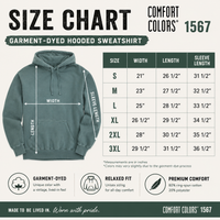 Say Less, We Fly Hoodie Philadelphia Football Inspired Hoodie Comfort Colors 1567 Garment-Dyed Sweatshirt Hoodie Philly Fan Gift Football