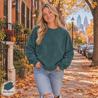 Hot Girls Love the Birds Sweatshirt, Comfort Colors 1566, Philly Football Crewneck, Women’s Game Day Pullover, Philadelphia Fan Gift