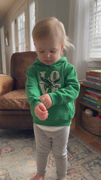 Philly LOVE Birds Toddler Hoodie, Philadelphia Football Kids Sweatshirt, Rabbit Skins 3326, Vintage Eagle Game Day Pullover