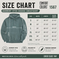 Hot Girls Love the Birds Hoodie, Comfort Colors 1567 Philly Football Sweatshirt, Philadelphia Game Day Hoodie, Birds Fan Gift